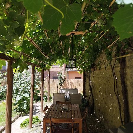 Il Cantuccio- Appartamento In Centro Con Giardino Volterra Bagian luar foto